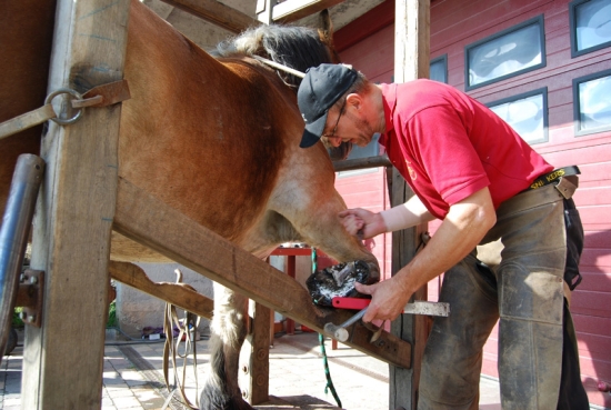 Mundart mit einem fahrenden Hufschmied
