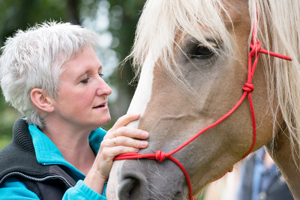 Eifeler Mundart: Neues vom Hof Kessler in Honsfeld
