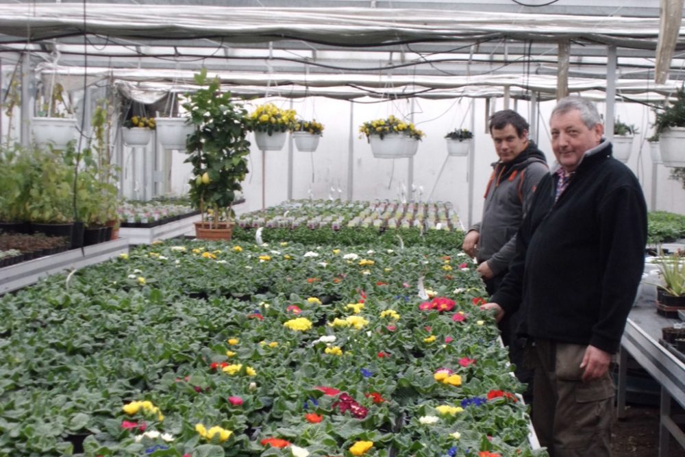 Eifeler Mundart: Tipps von der Baumschule Theis in Crombach