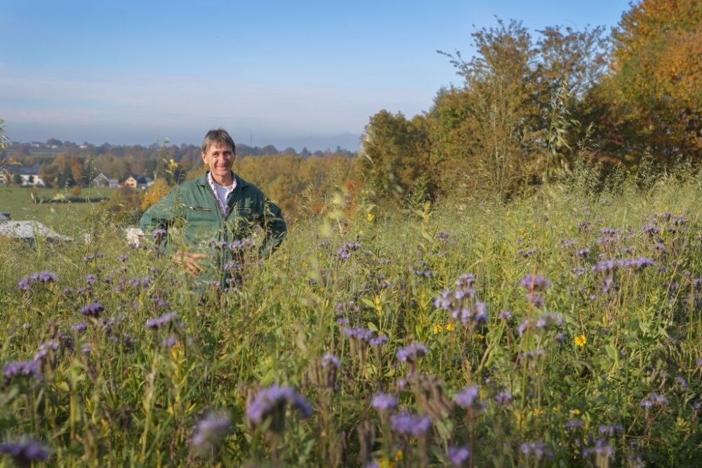Eifeler Mundart: Kartoffelmulchen