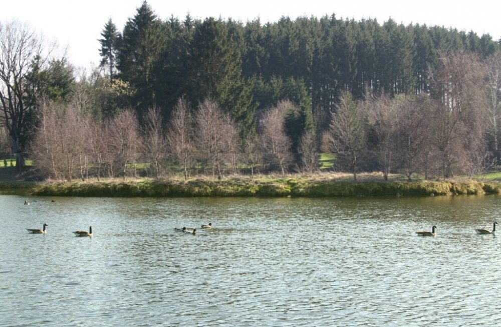Eifeler Mundartsendung rund um den Rechter Weiher