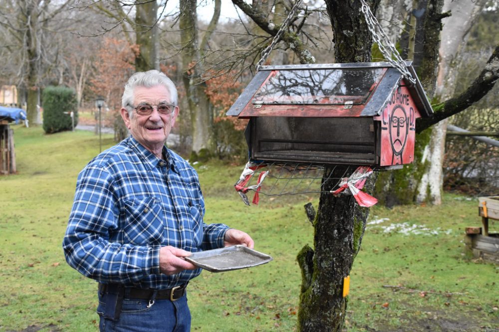 Eifeler Mundart: Schwalbenschutz in Iveldingen