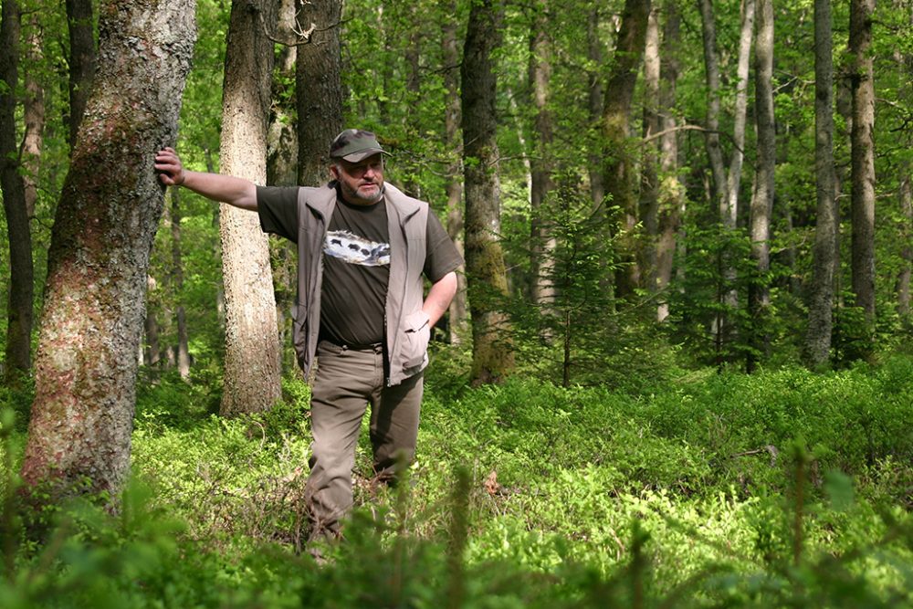 Eifeler Mundart: So wohnen Kohlmeise und Haselmaus
