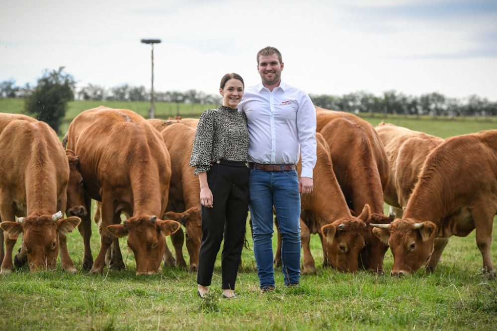 Eifeler Mundart: Tömmelhof in Amel