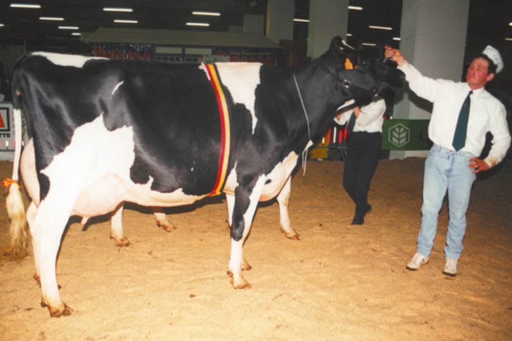 Mundart Süd: 50 Jahre Rindviehzüchtervereinigung