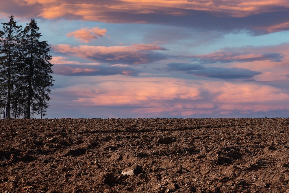 Eifeler Mundart: Ausstellung ''Am Anfang des Weges'' von Johannes Weber