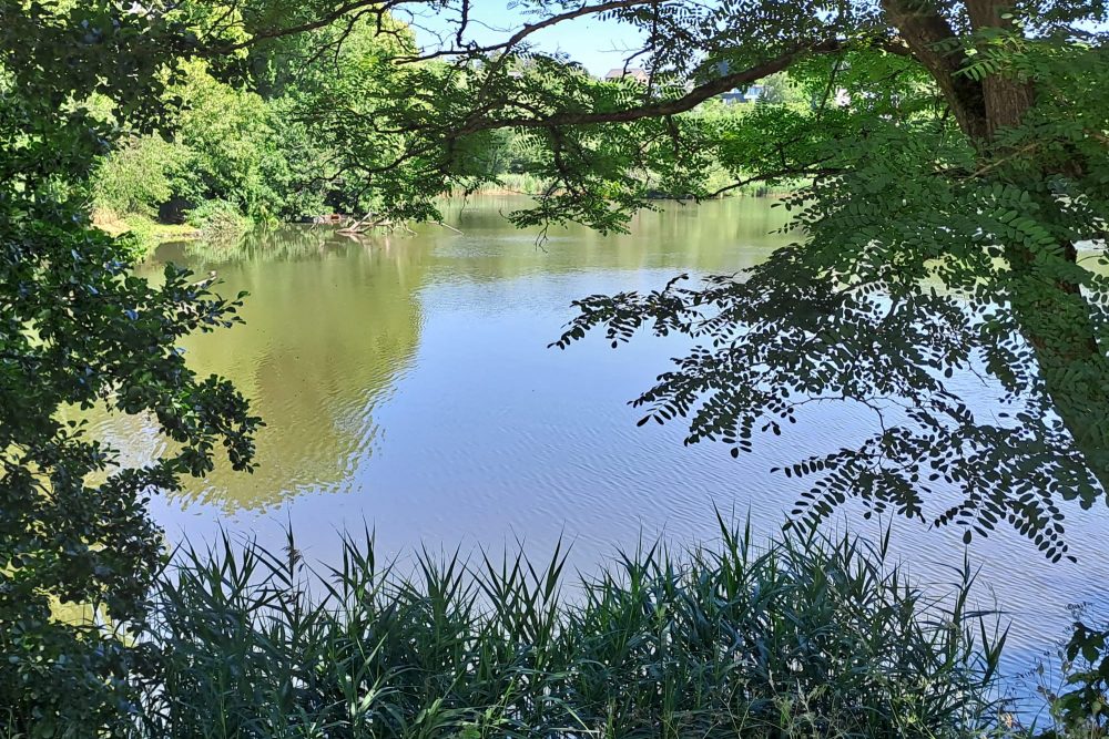 Kelmiser Mundart: Sommeraktivitäten in Kelmis