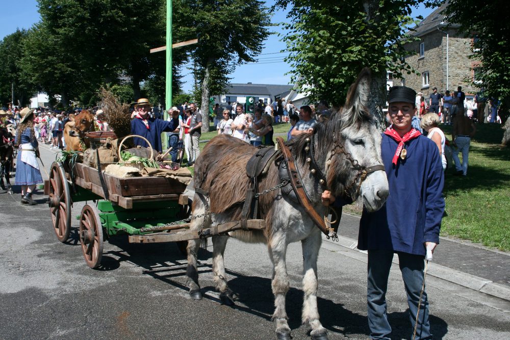 Eifeler Mundart: Nach acht Jahren - Endlich wieder Sommerfest in Amel