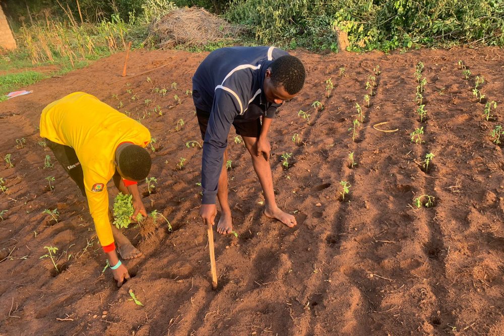 Kelmiser Mundart - 17. Dezember